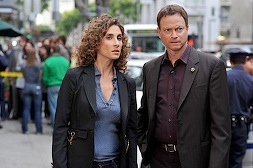 csi-ny224